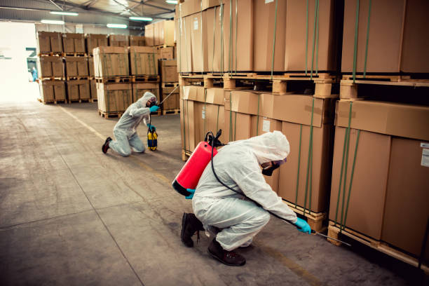 Best Bed Bug Extermination  in Bonny Doon, CA