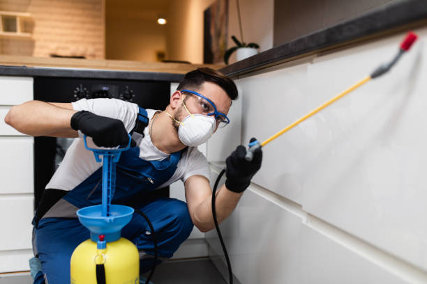 Best Pest Prevention Services  in Bonny Doon, CA