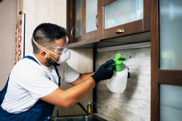 Best Wildlife Control Services  in Bonny Doon, CA