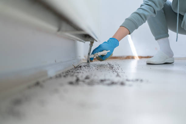 Reliable Bonny Doon, CA Pest Control Solutions