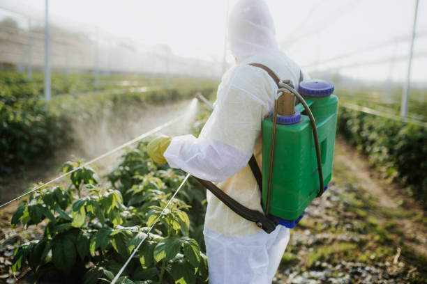 Reliable Bonny Doon, CA Pest Control Solutions